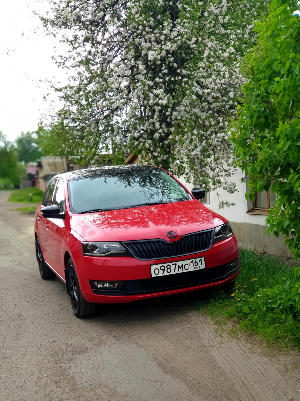 Skoda Rapid Black Edition 2019