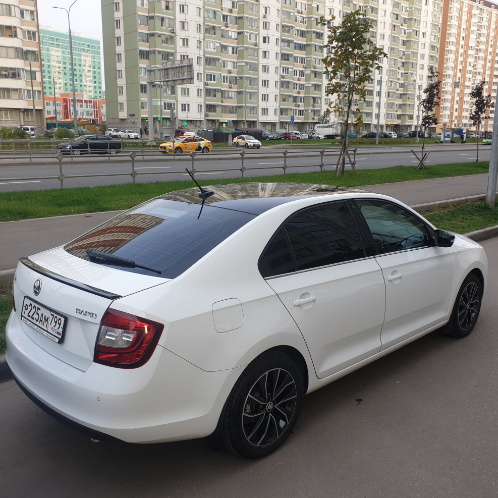 Rapid 2020 Black Edition