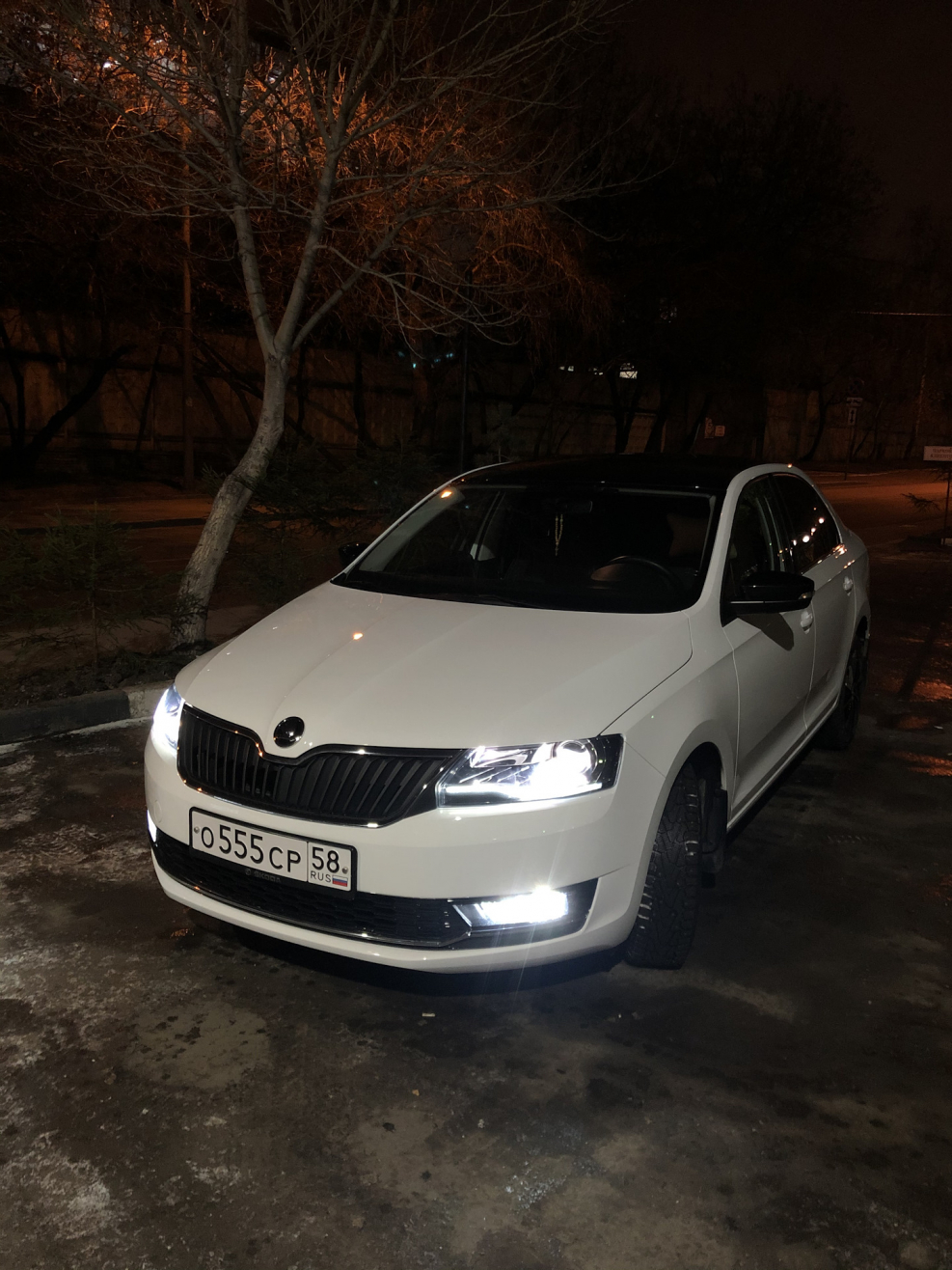 Octavia Black Edition 2019