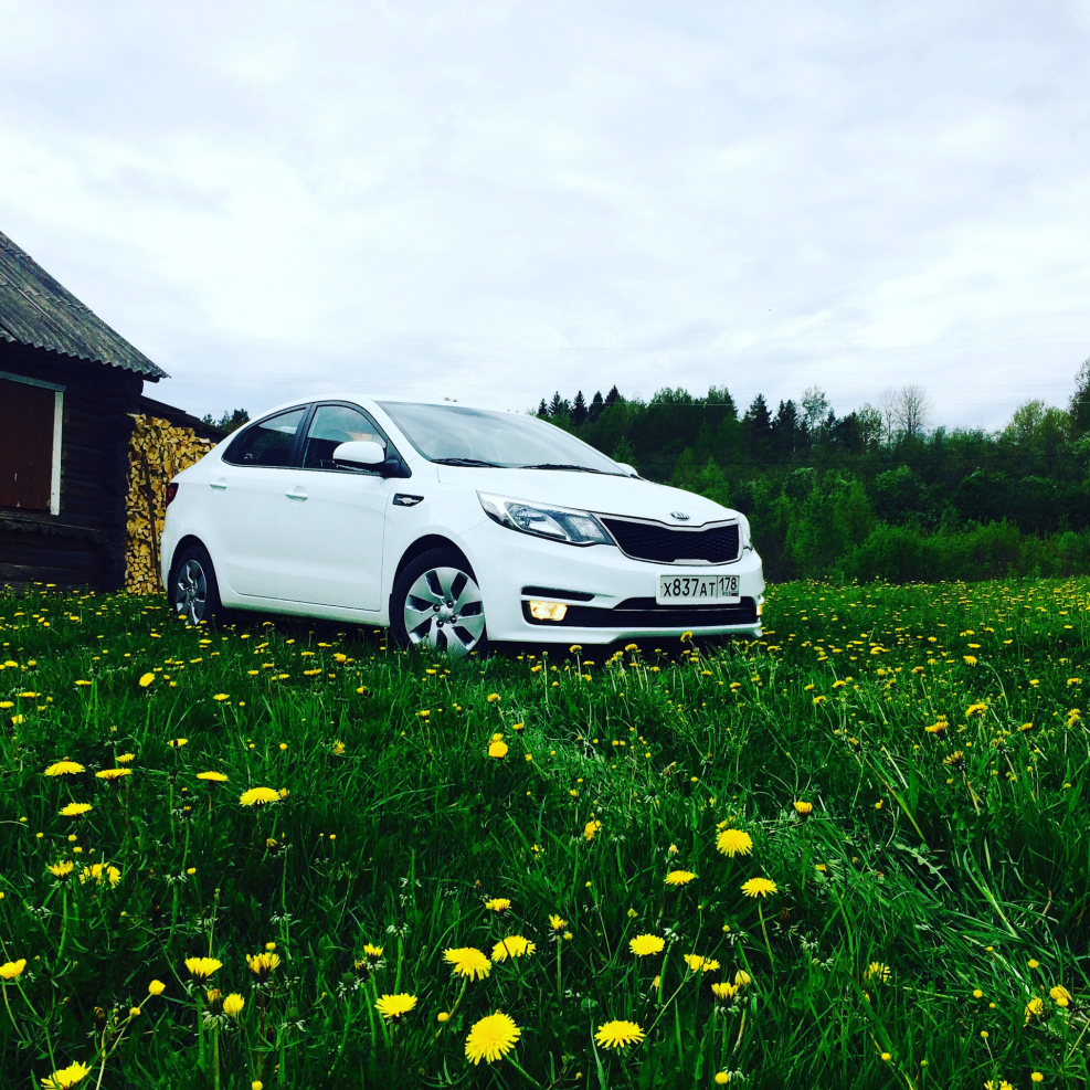 Kia Rio белая