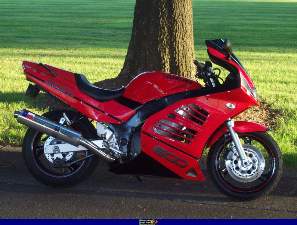 Suzuki RF 600 1996