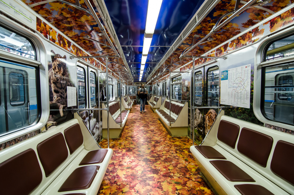 Тематические вагоны метро в Москве