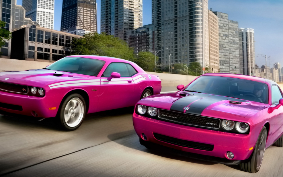 Dodge Challenger Mopar 2010.