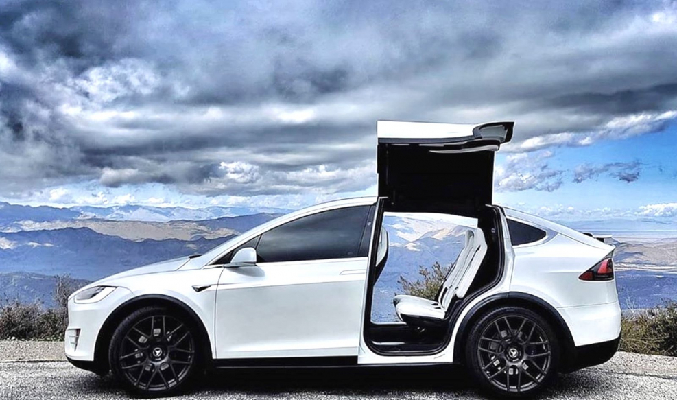 2017 Tesla model x двери
