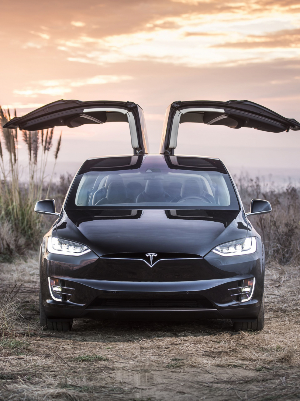 Тесла model x 2021