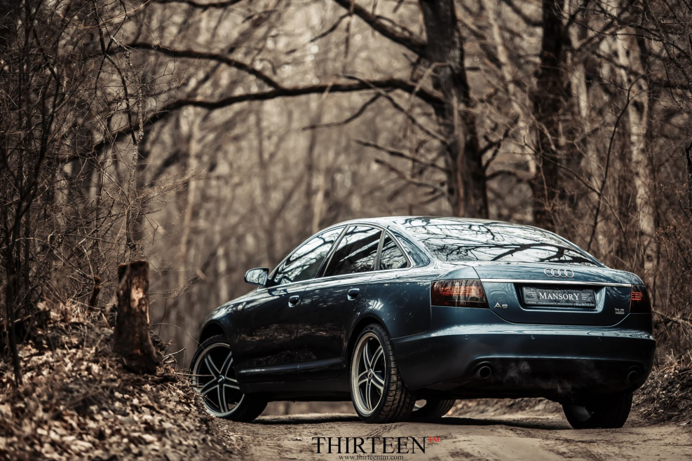 Audi a6 c6 лес