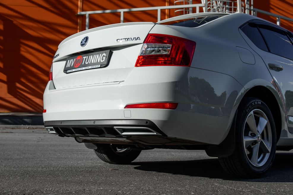 Skoda Octavia a5 салон сзади