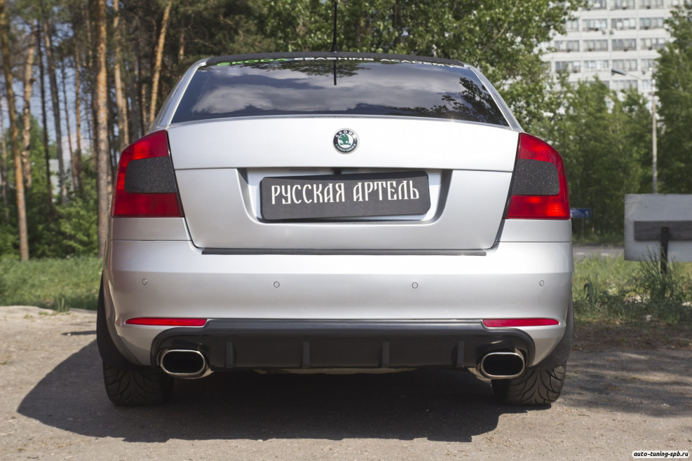 Салон Октавия а5 сзади