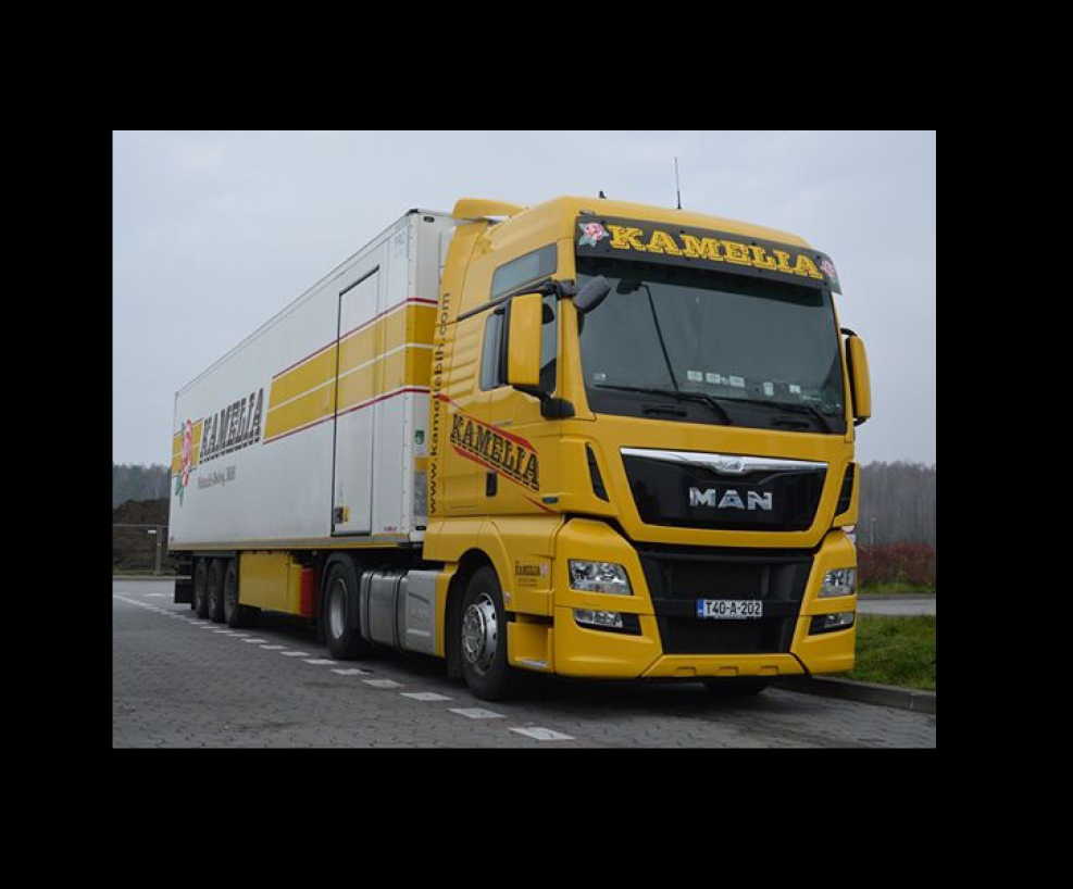 Man TGX 18.480 Euro 6