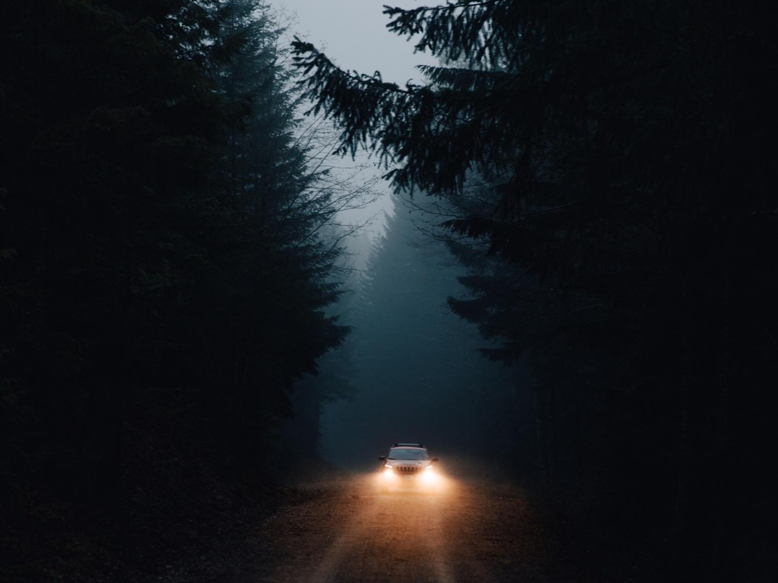Ночь дорога свет фар. Ночная дорога. Дорога в лесу ночью. Ночной лес у дороги. Лесная дорога ночью.