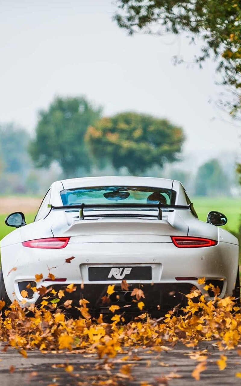 Porsche 911 autumn