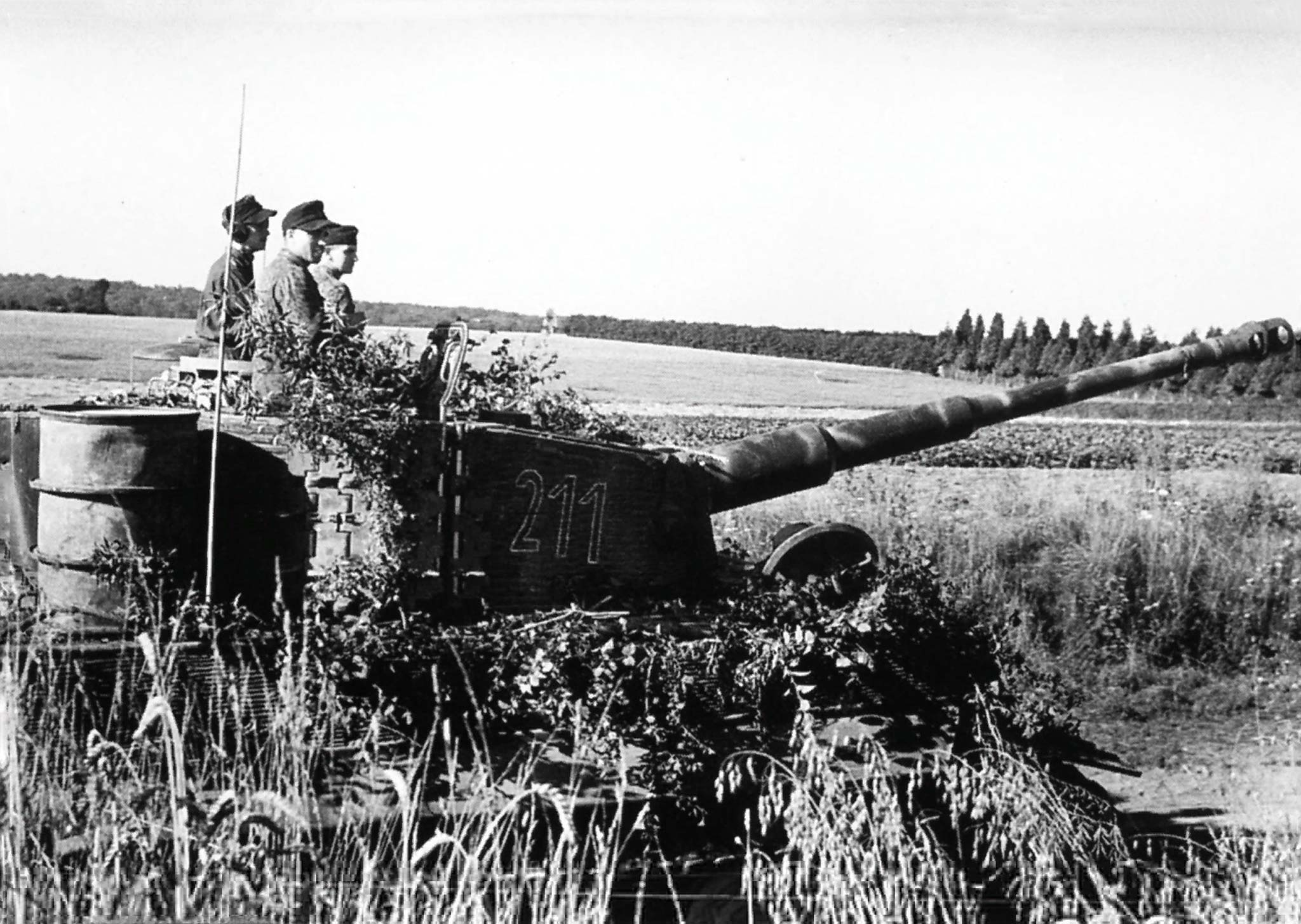 Ss tanks. Танк тигр 1944. Маскировочная сеть немецких танков второй мировой войны. Танк тигр Нормандия камуфляж.
