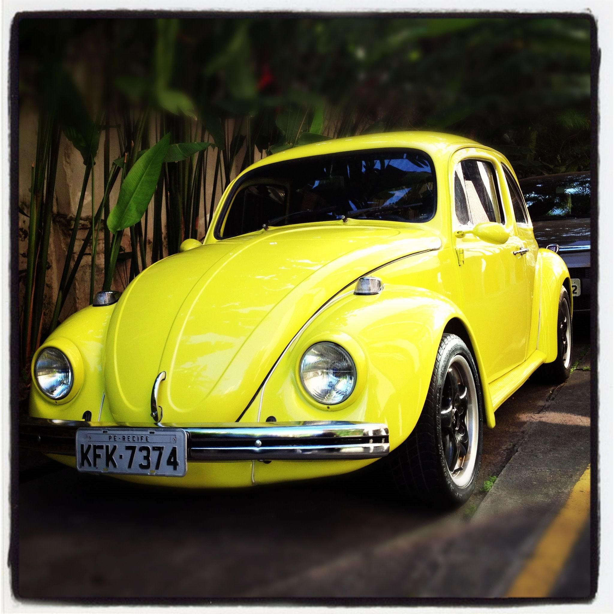 Volkswagen желтый. Фольксваген Битл желтый Жук. Volkswagen Beetle желтый. Volkswagen Beetle 1963 желтый. Фольксваген Жук 2023.