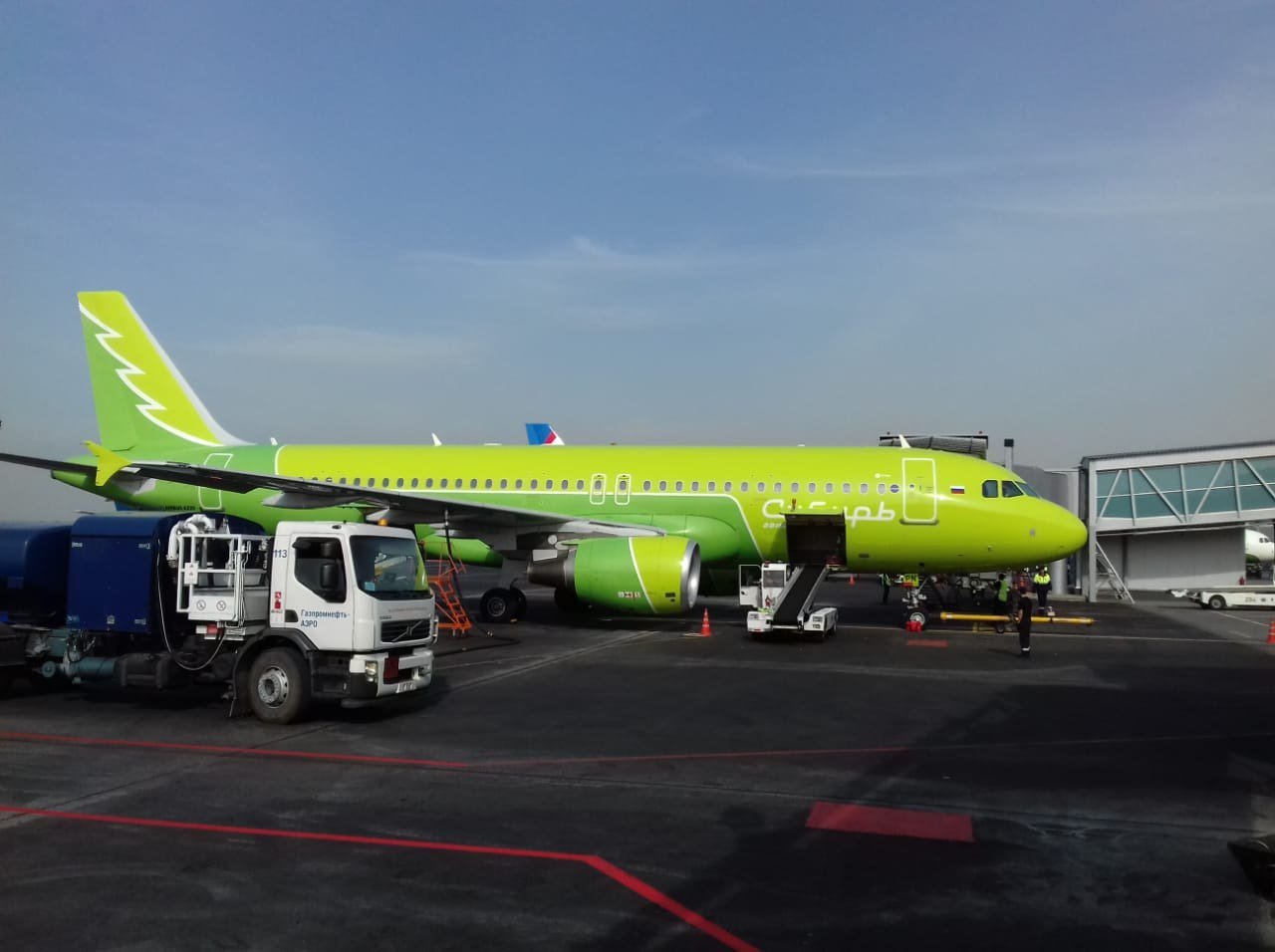 S7 airlines сибирь. S7 Airlines ливрея Сибирь. Самолеты s7 Airlines Новосибирск. S7 Airlines Толмачево. A320 s7 Сибирь.