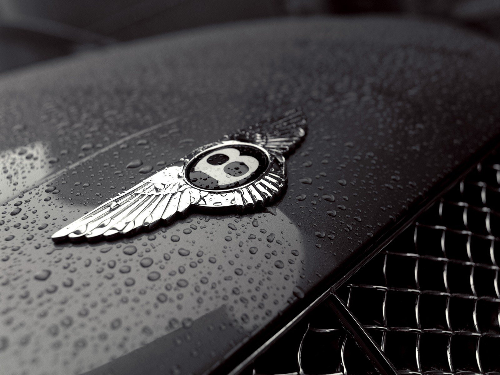 Значки на капоте машины. Бентли Континенталь лого. Бентли значок на капоте. Bentley Bentayga шильдик. Bentley эмблема на капоте.