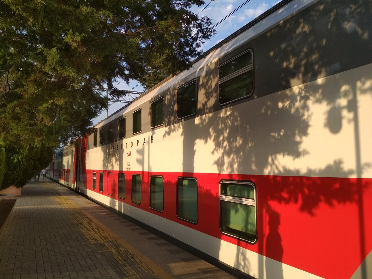 поезд санкт петербург адлер фото