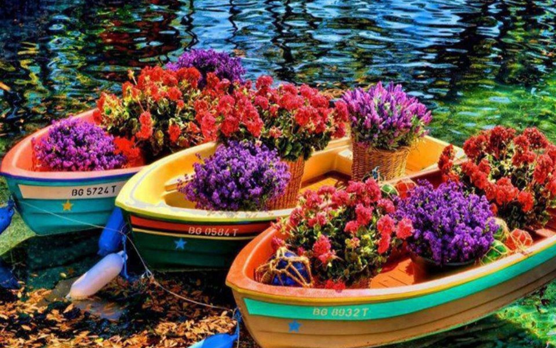 Лодка в цветах