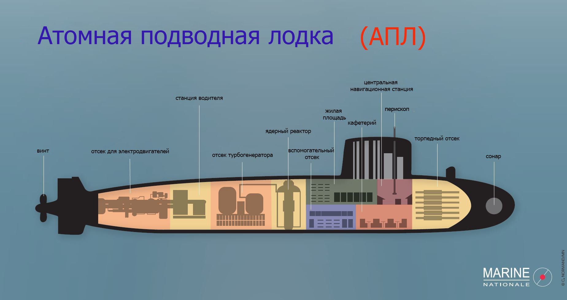 Апл 5 букв. Схема ядерной подводной лодки. Строение атомной подводной лодки схема. Строение подводной лодки Курск в разрезе. Атомная подводная лодка в разрезе.