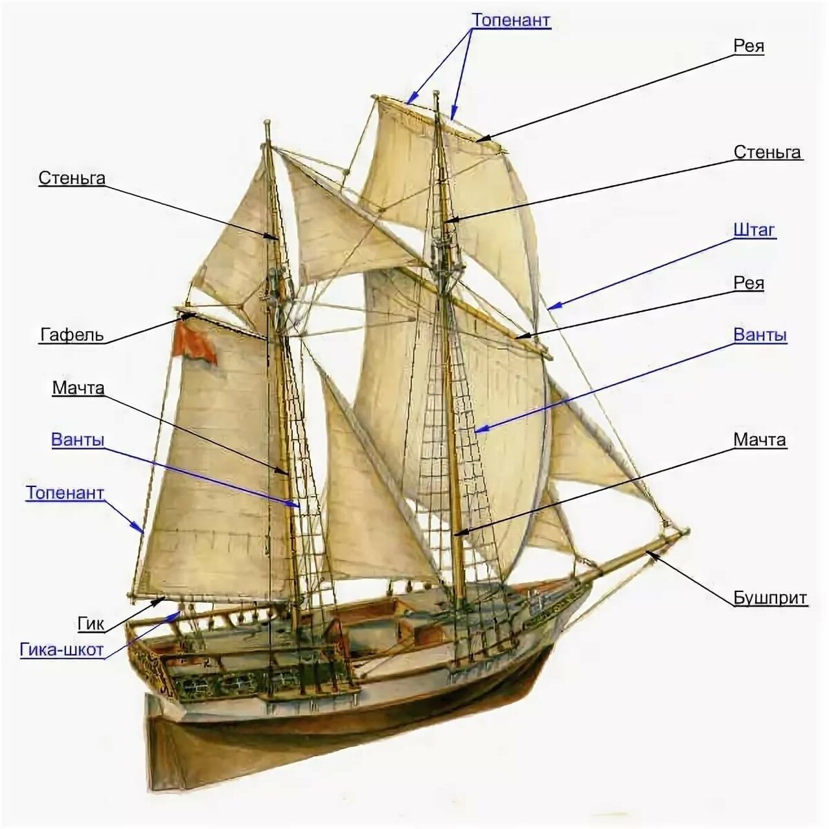 Строение парусного судна схема с названиями