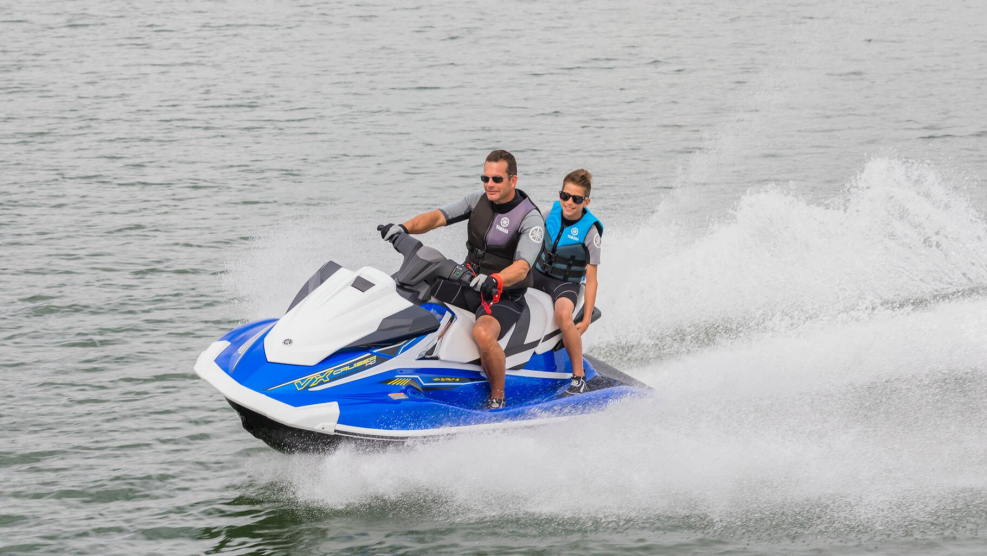 Yamaha FZS SVHO