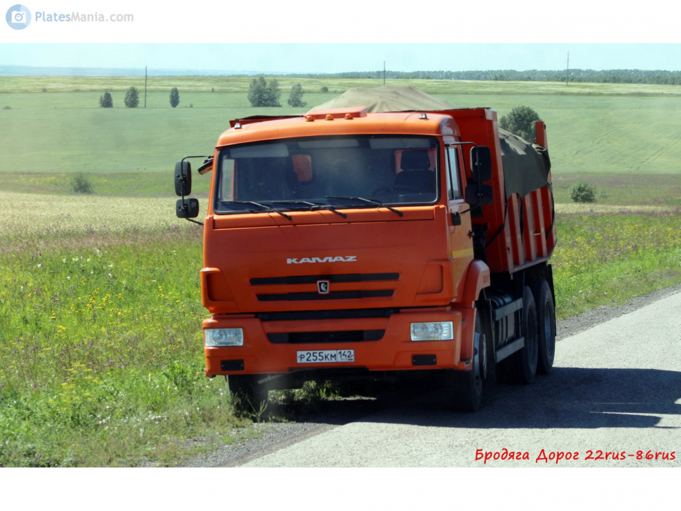КАМАЗ 65115 ПМ