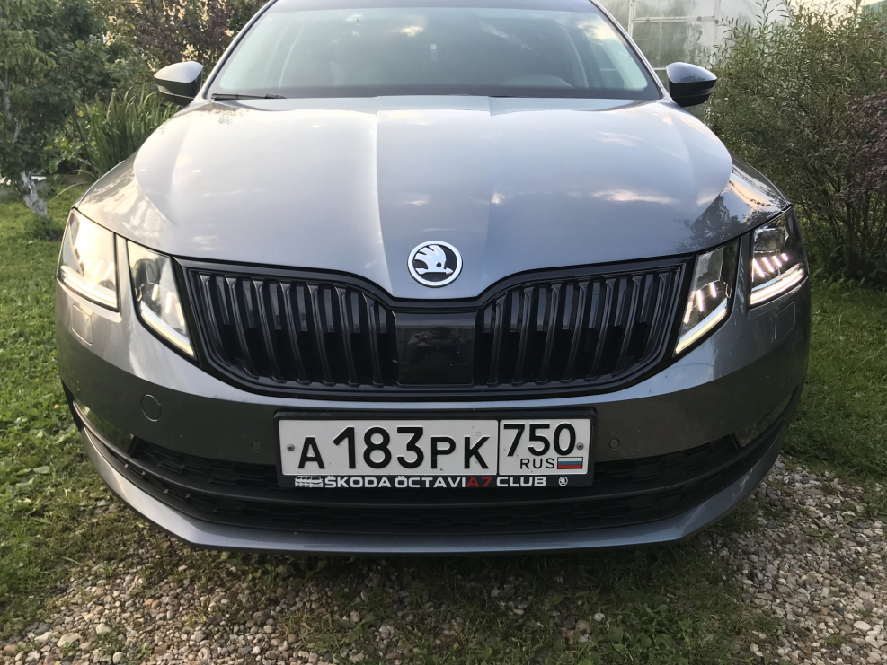 Skoda Octavia a8 серая