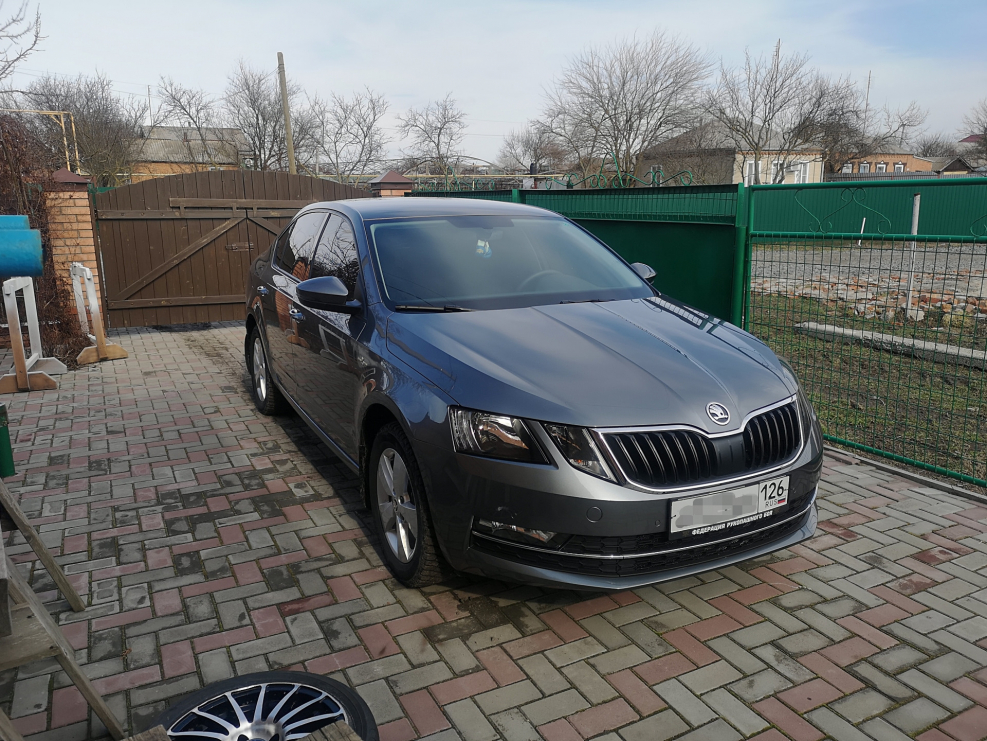 Шкода Октавия а 8 Grey Platinum