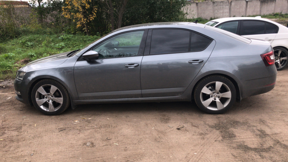 Skoda Octavia a8 серый Platinum