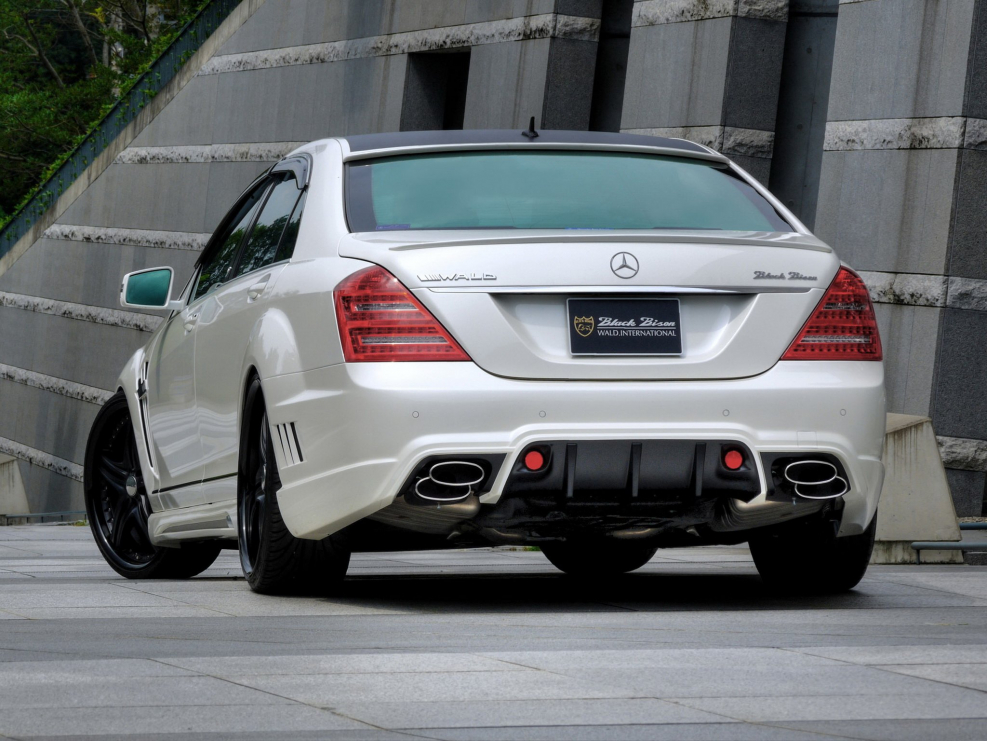 W220 Wald Black Bison
