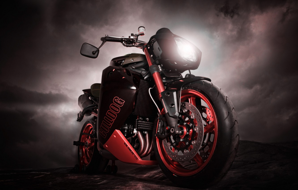 Triumph Speed Triple Bulldog