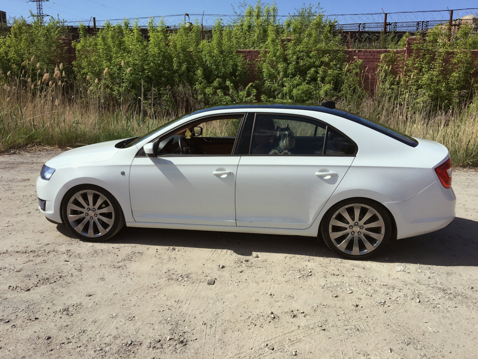 Шкода Рапид колеса 205/55 r16