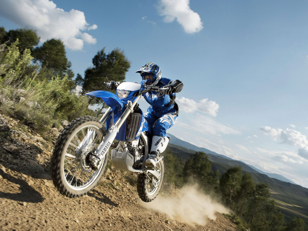 Yamaha wr250f 2008
