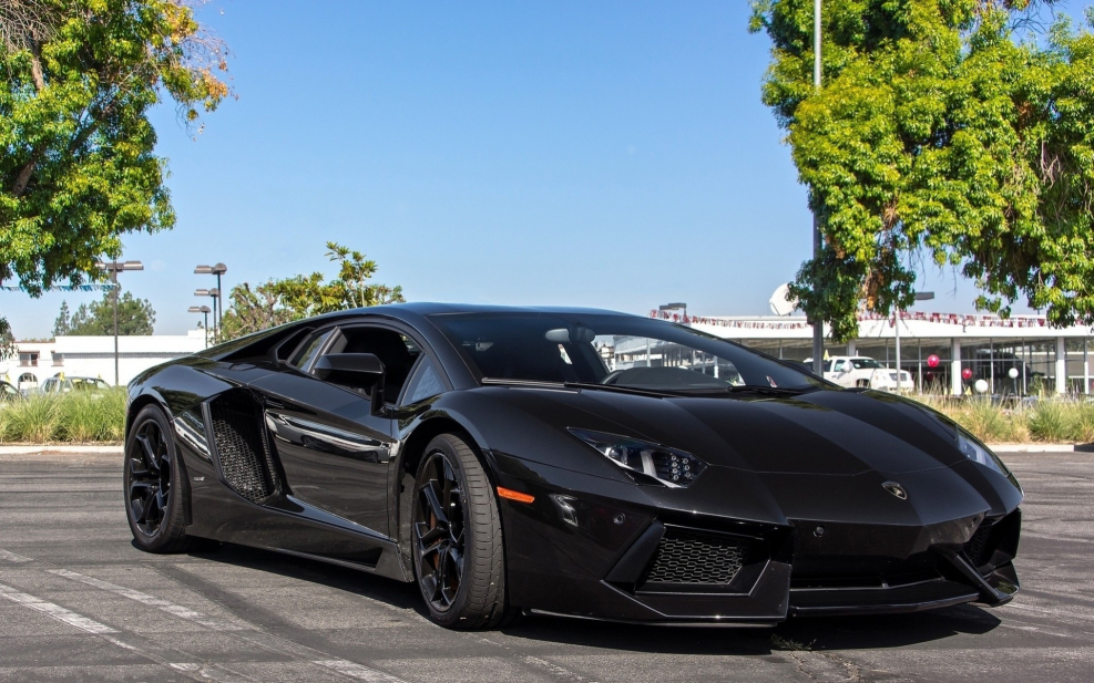 Lamborghini Aventador lp700-4 черная