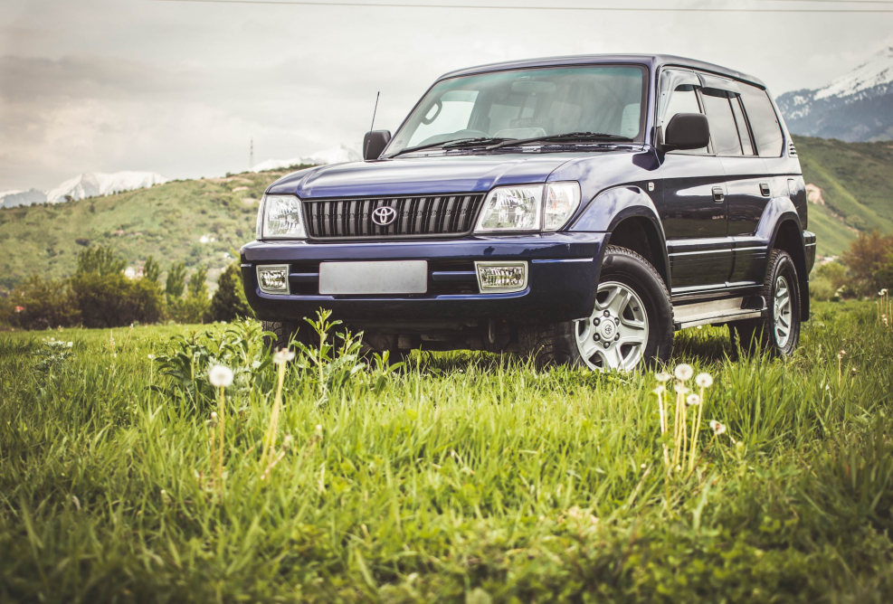 Land Cruiser Prado 95