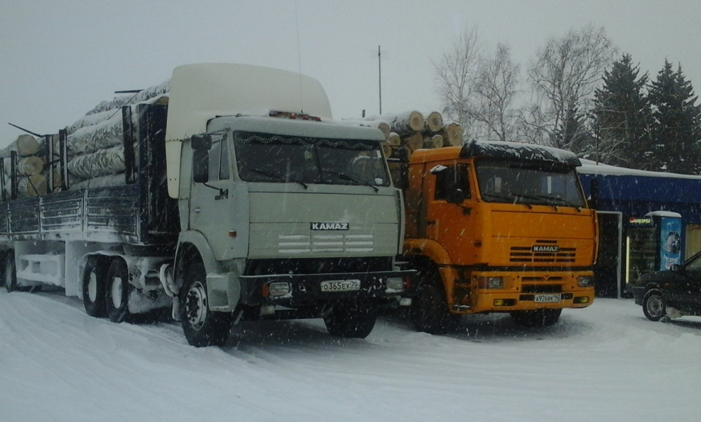 КАМАЗ 55111 ДРСУ