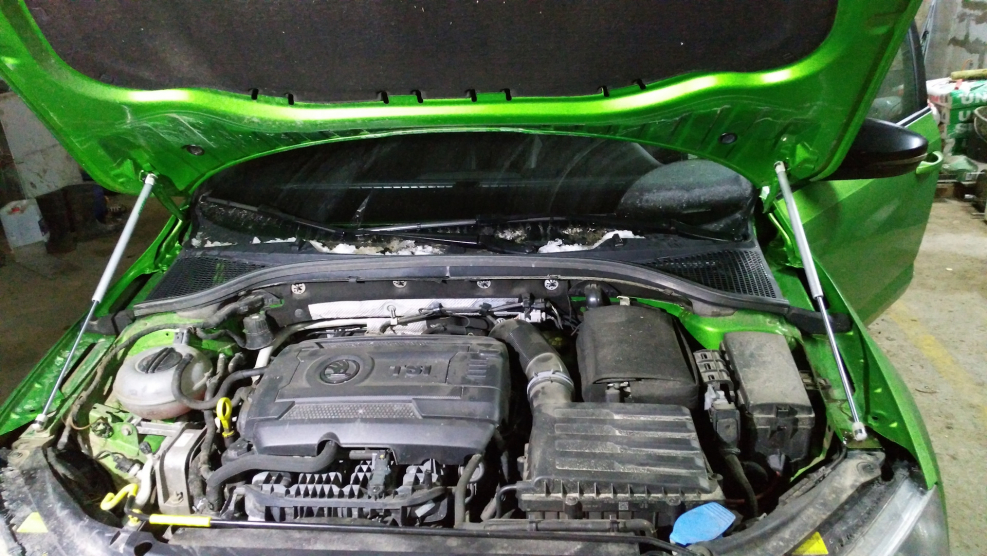 Skoda Octavia 2021 открытый капот