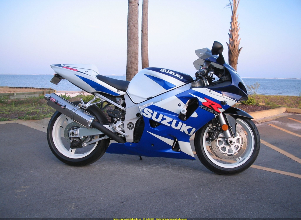 Suzuki GSXR 600 2001