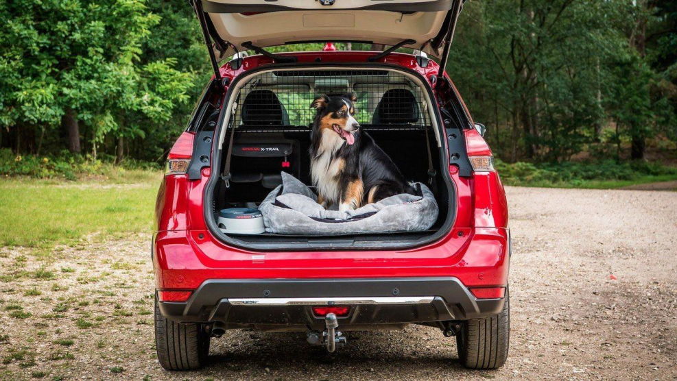 Nissan x-Trail 2021 багажник