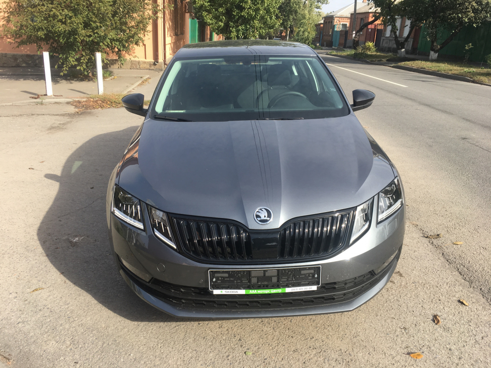 Skoda Octavia a8 серый Platinum