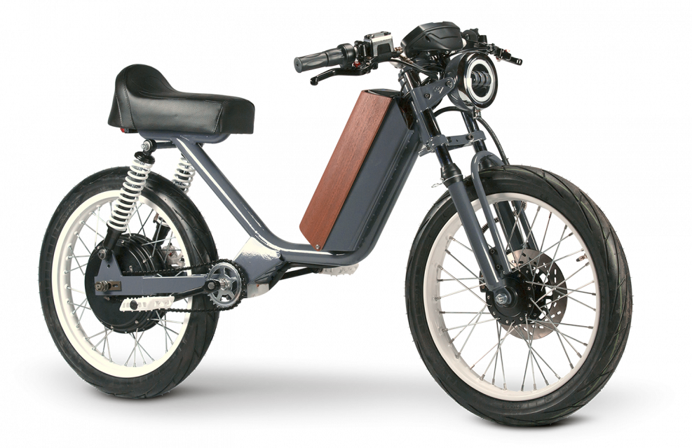 Denzel Carbon Electric Bike Samurai
