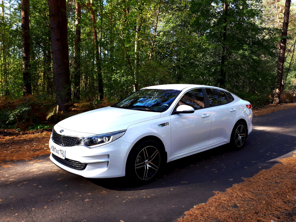 Kia k5 2021 Color