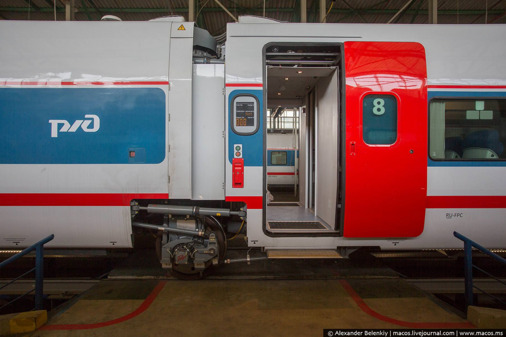 Стриж вагоны Talgo