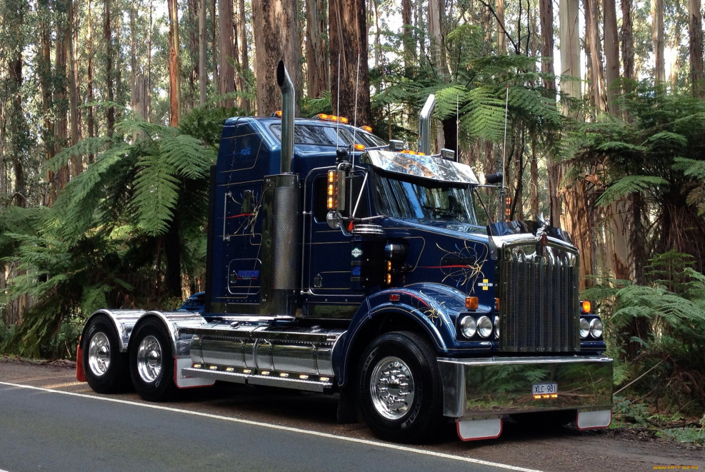 Американский грузовик freightliner