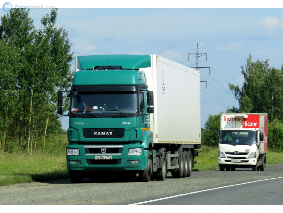 КАМАЗ 5490 автовоз