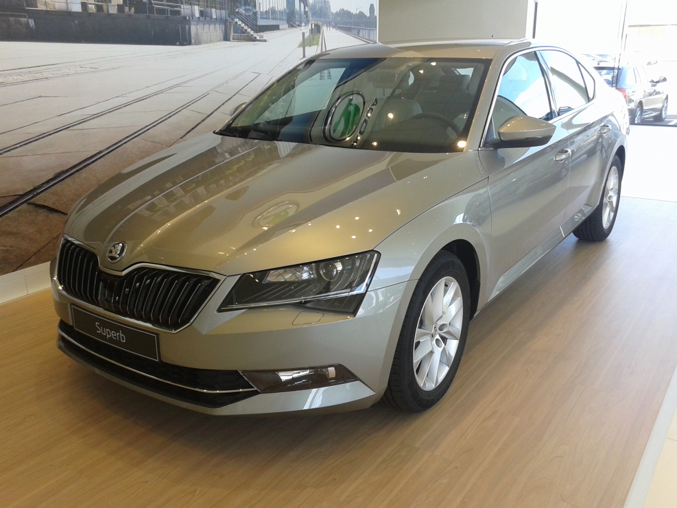 Cappuccino Beige Metallic Шкода