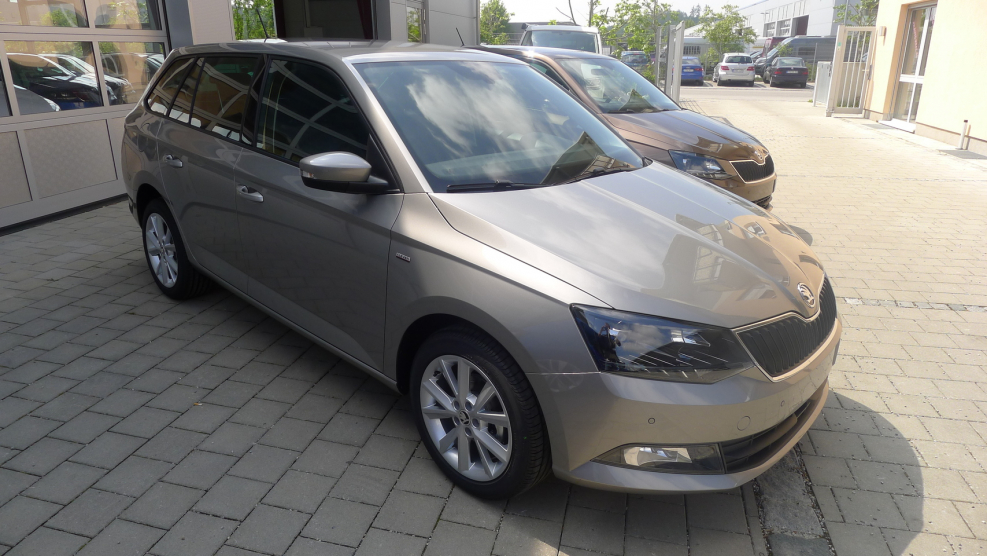 Cappuccino Beige Metallic Шкода