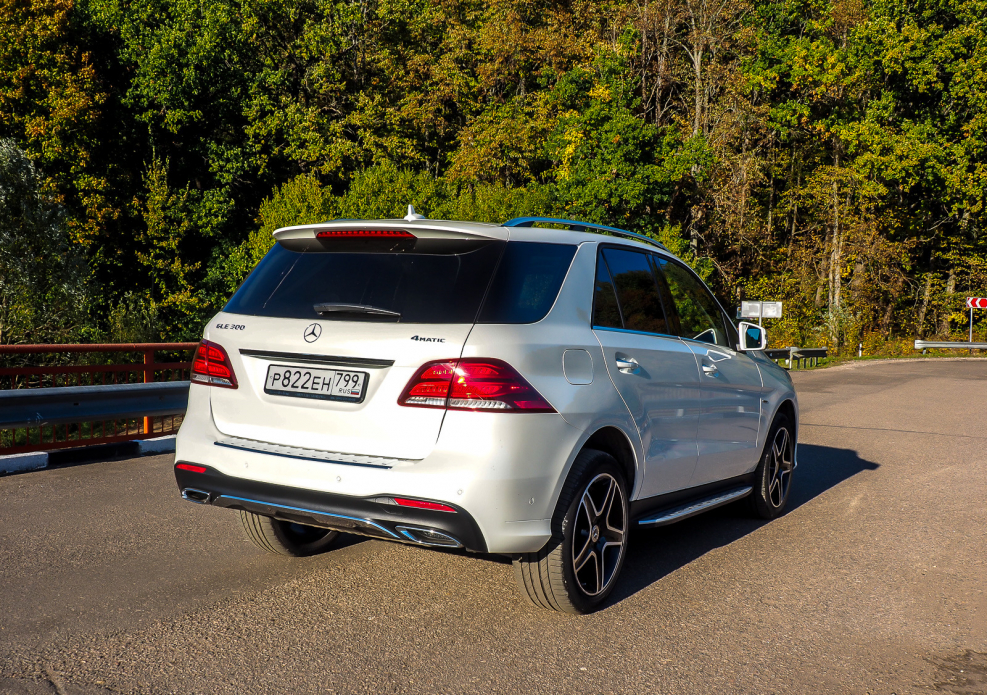 GLE 300 2021 задний вид