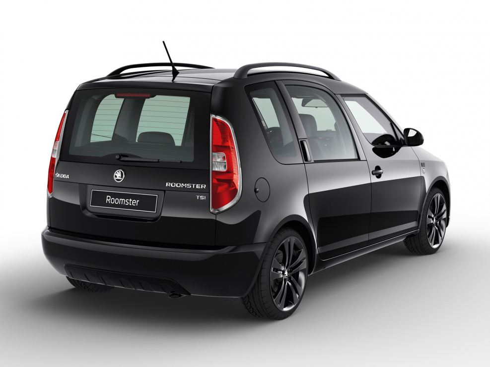 Skoda Praktik 2008 салон