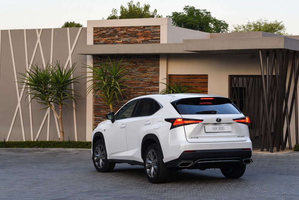 2018 Lexus NX 300 F