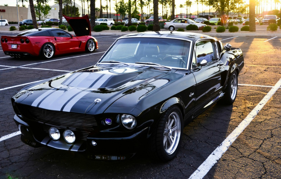 Mustang Eleanor back